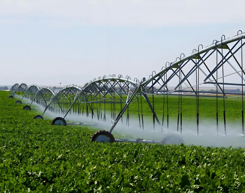 Sistem Pengairan Mikro-Sprinkler